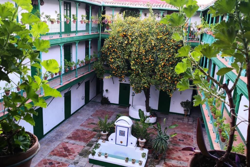 Alcazares Sevilla Centro Экстерьер фото